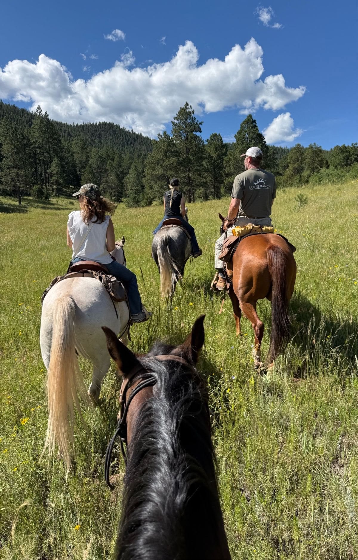 Horseback Rides