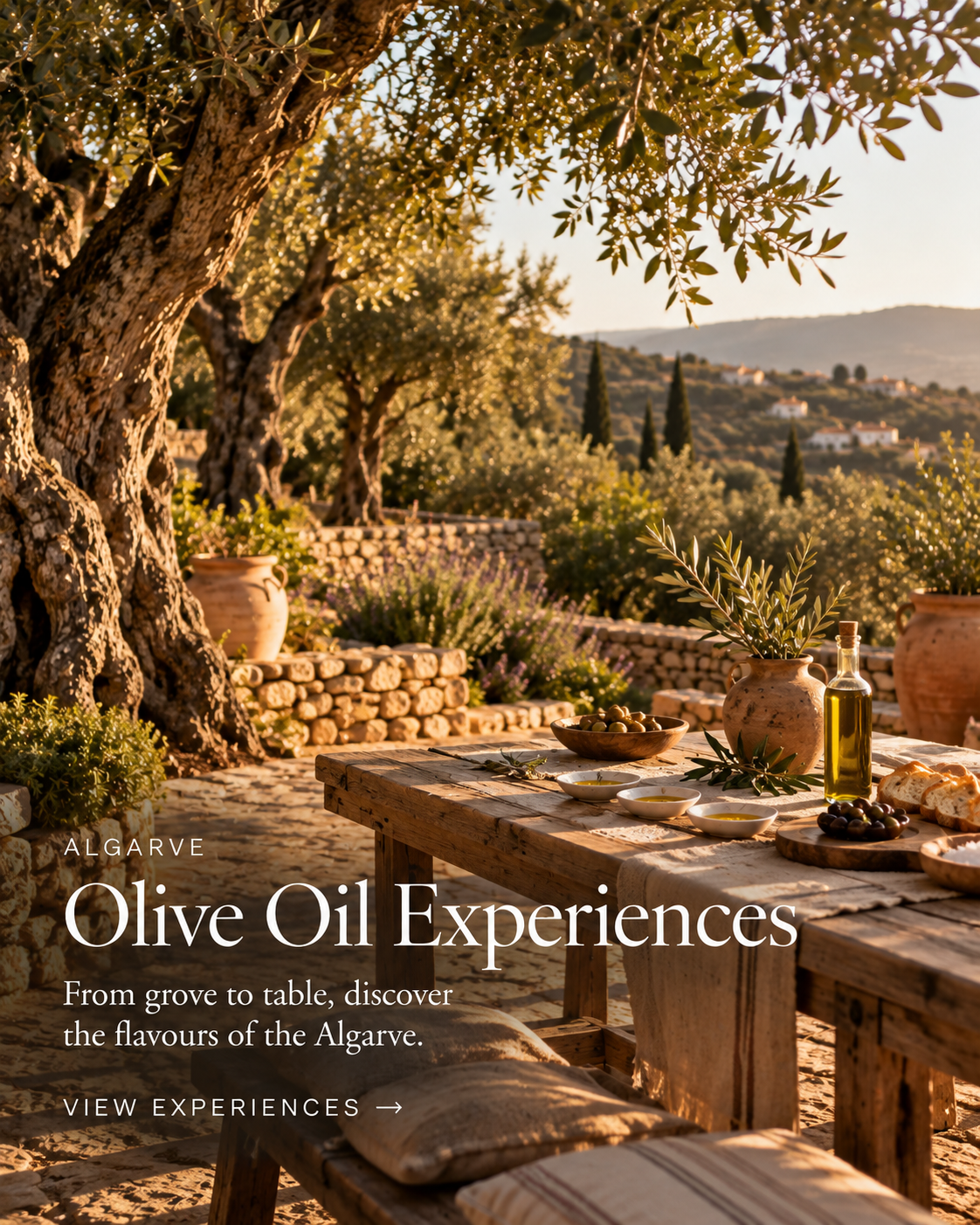 Algarve: Olive Oil Experiences