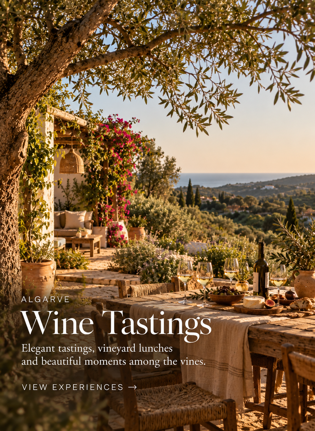 Algarve: Wine Tastings
