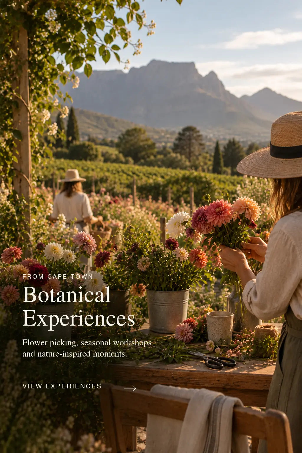 Cape Town: Botanical Experience