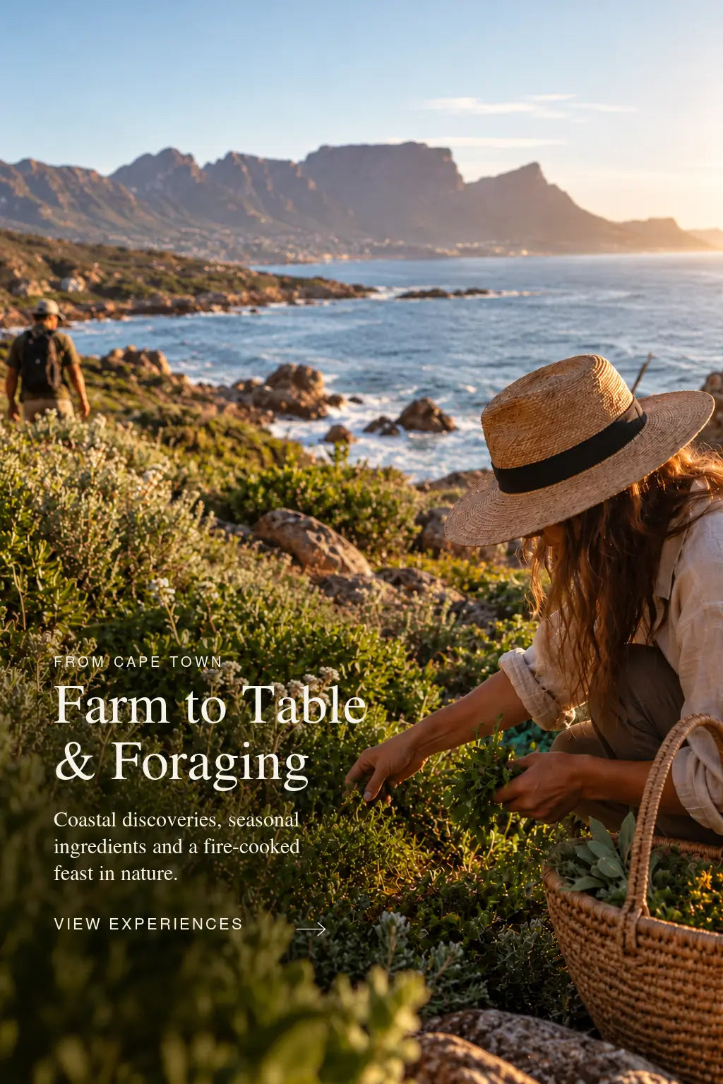 Cape Town: Foraging