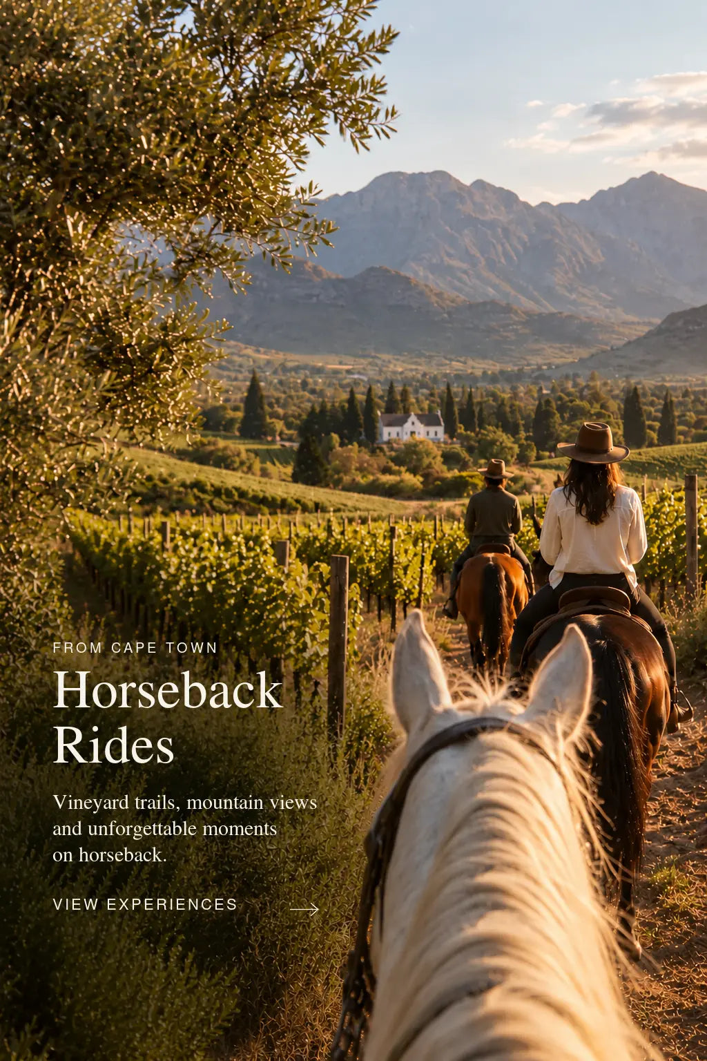 Cape Town: Horseback Rides