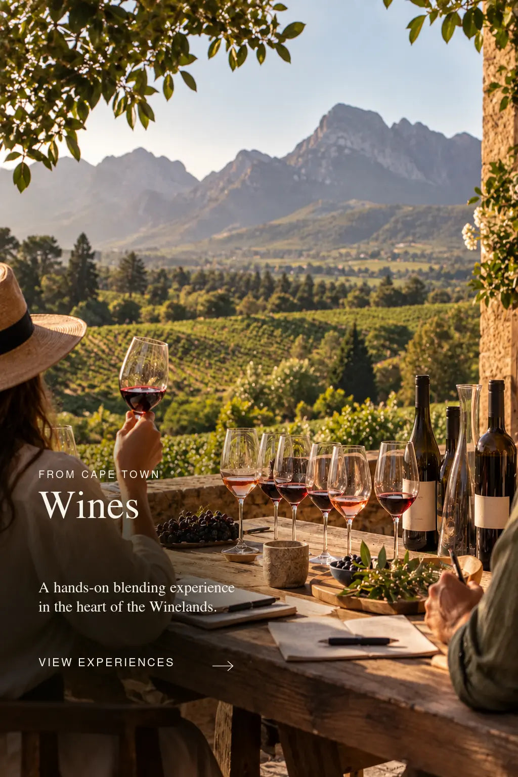 Cape Town: Wine Experiences