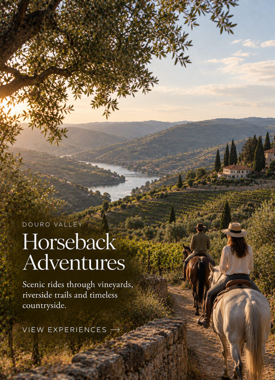 Douro Valley: Horseback Adventures