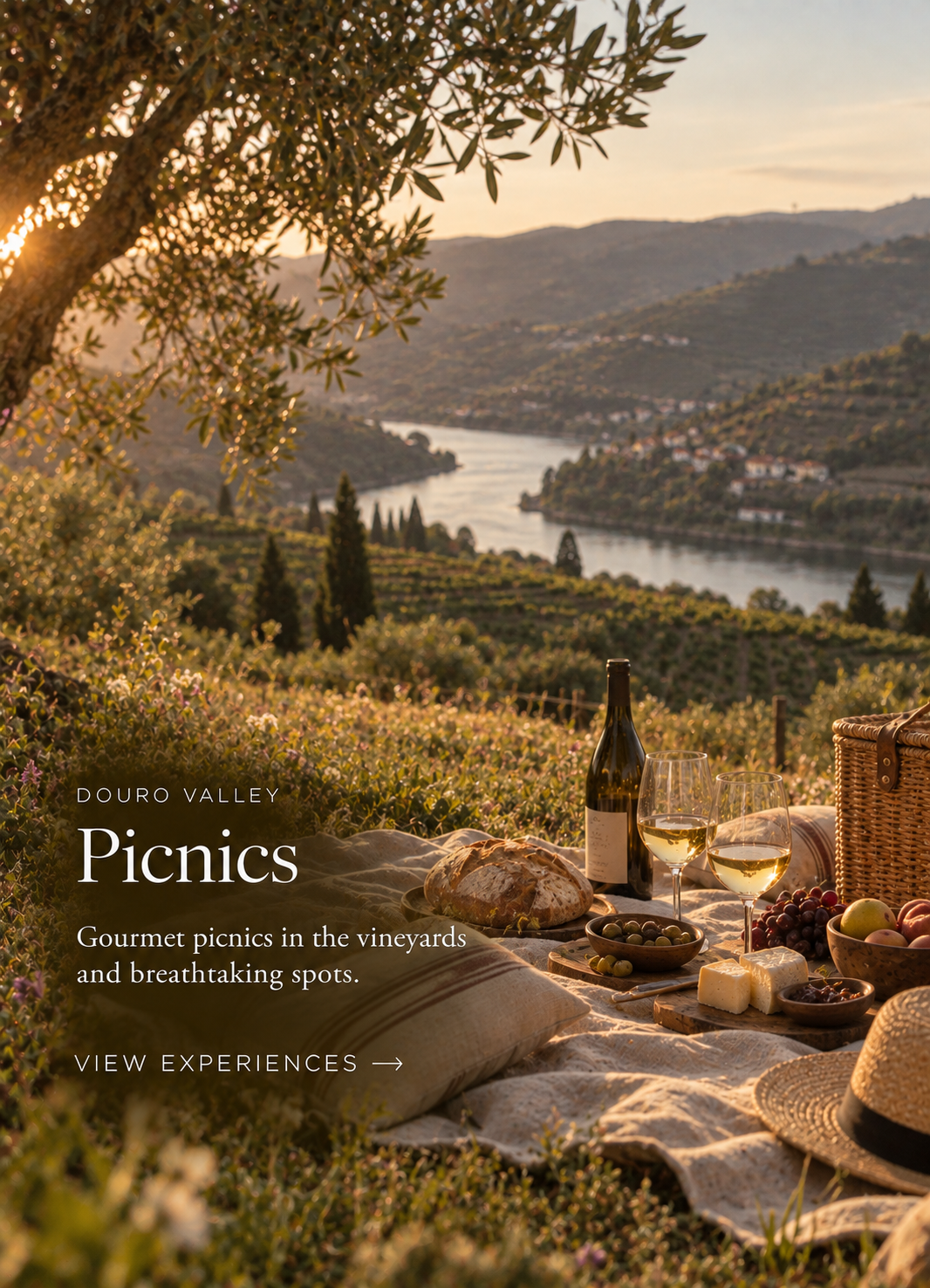 Douro Valley: Picnics
