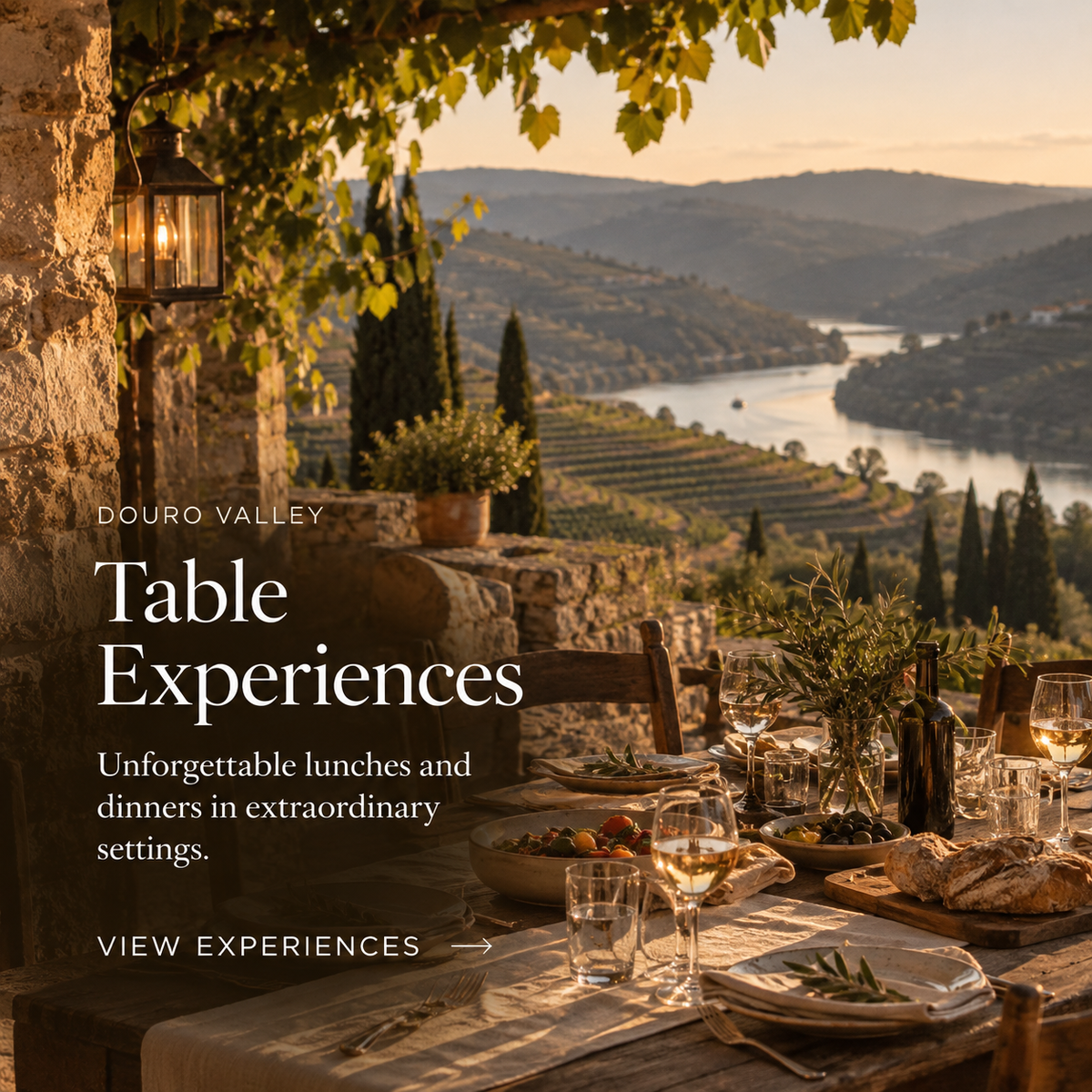 Douro Valley: Table Experiences