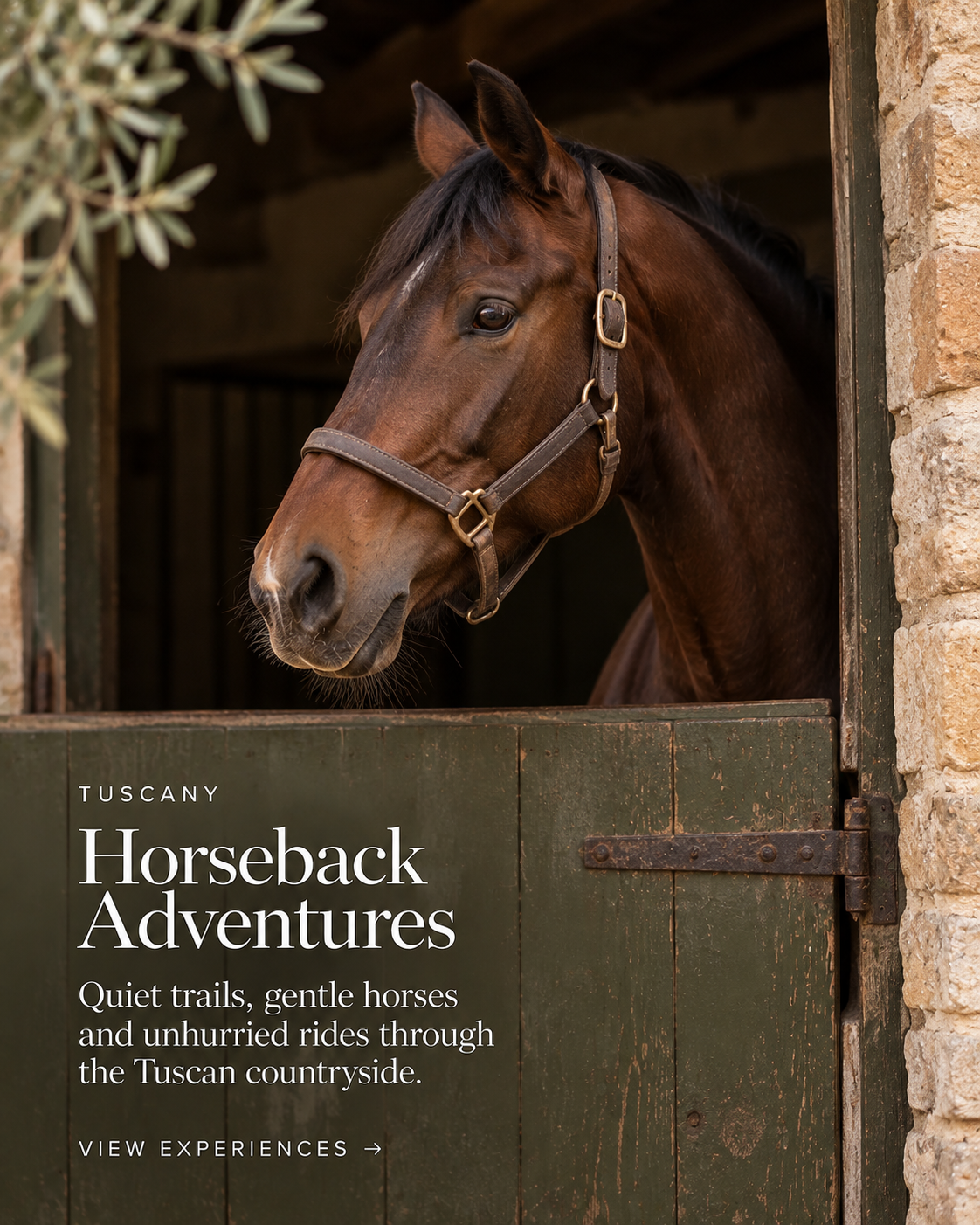 Tuscany: Horseback Adventures