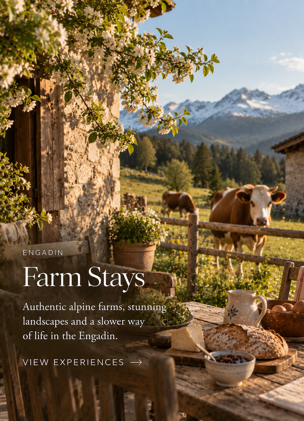 Engadin: Farm Stays