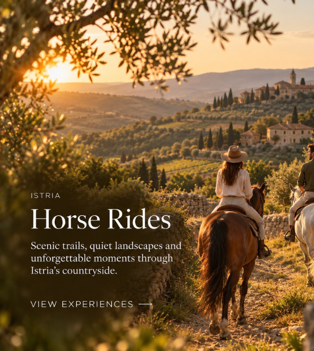 Istria: Horse Rides