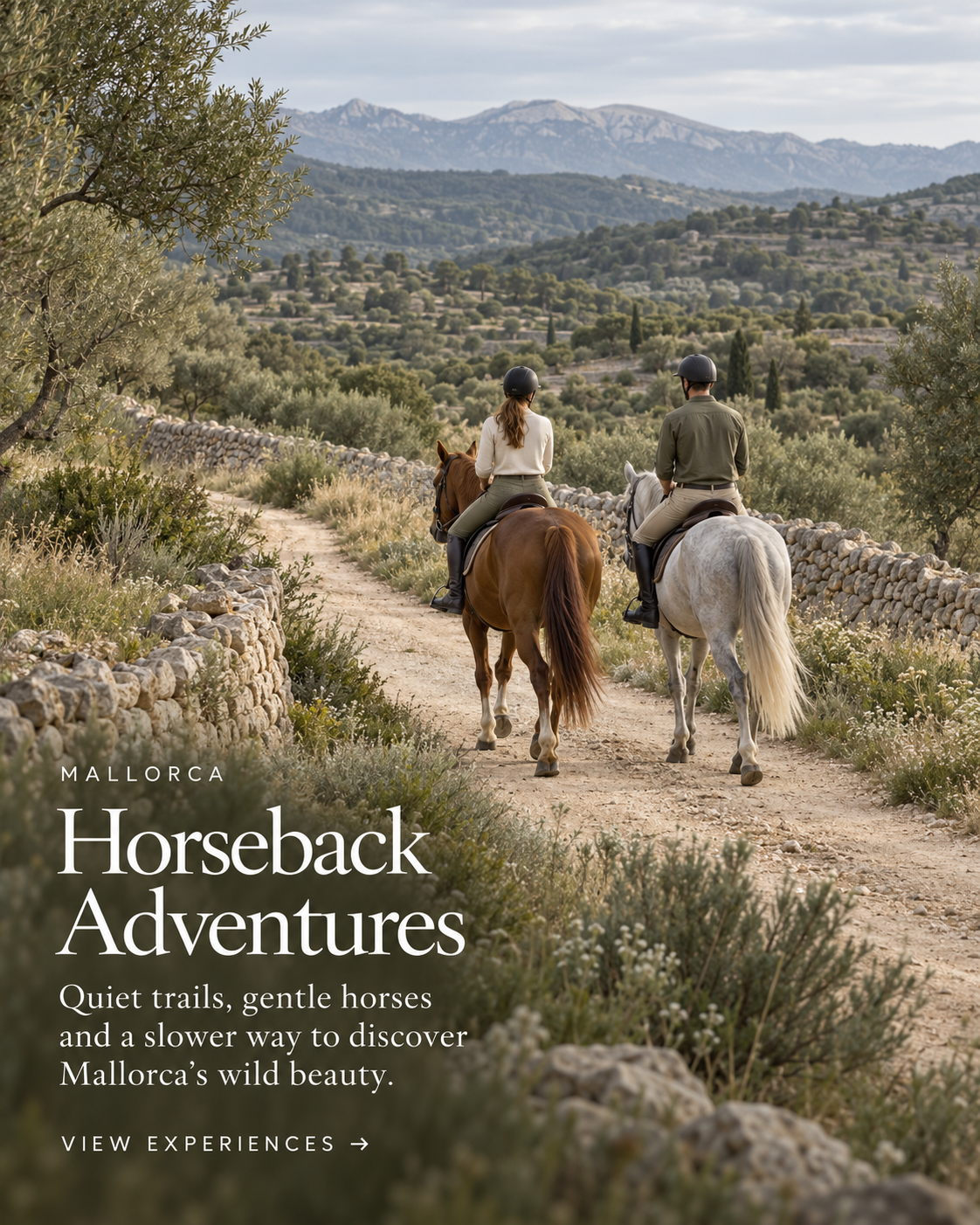 Mallorca: Horseback Adventures