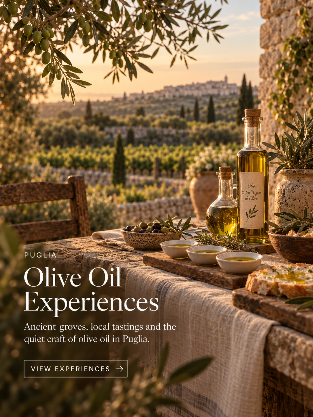 Puglia: Olive Oil Experiences