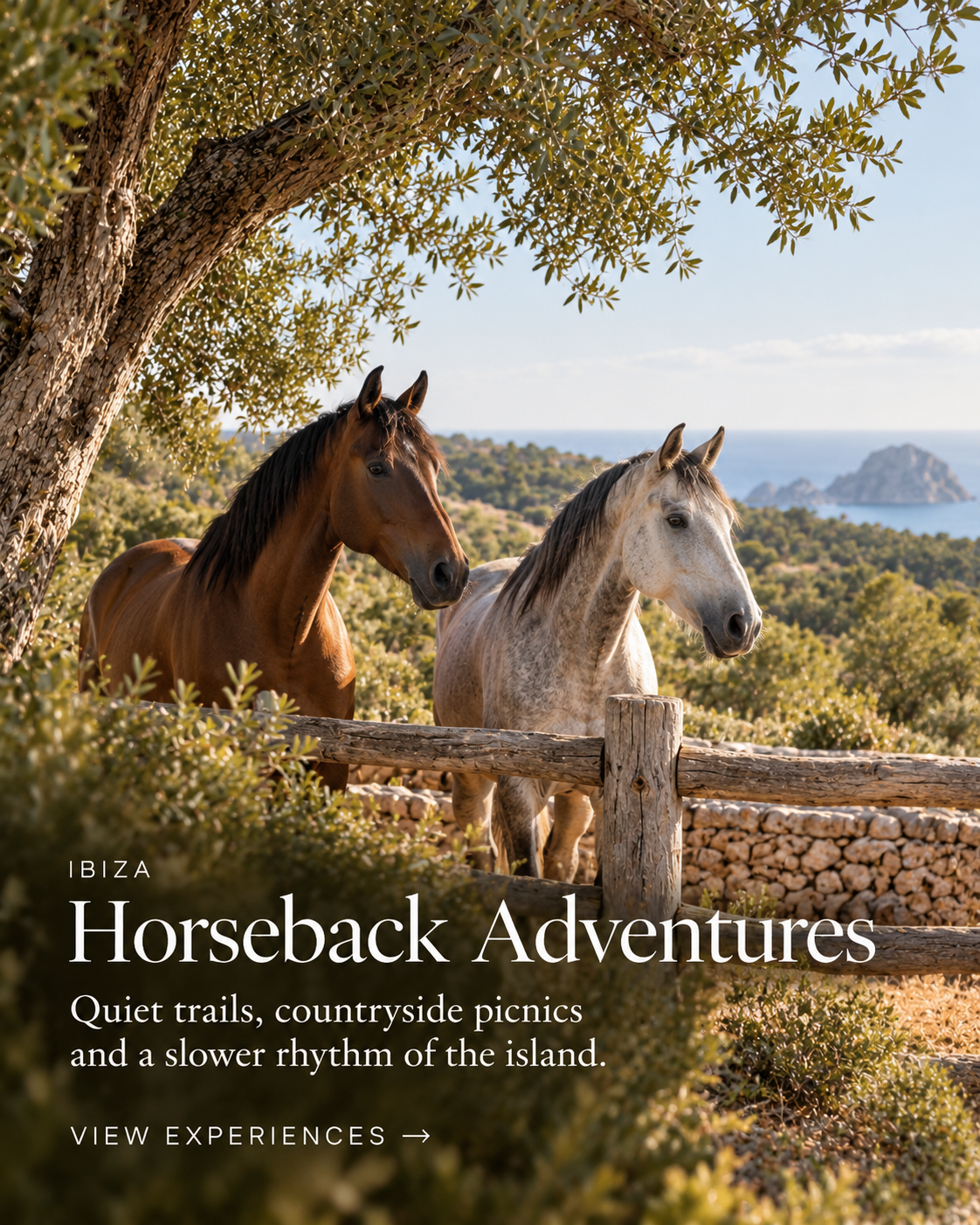Ibiza: Horseback Adventures