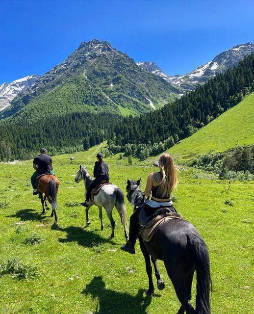Ireland: Ancient Woodland Horseback Ride Along Historic Pilgrimage Trails