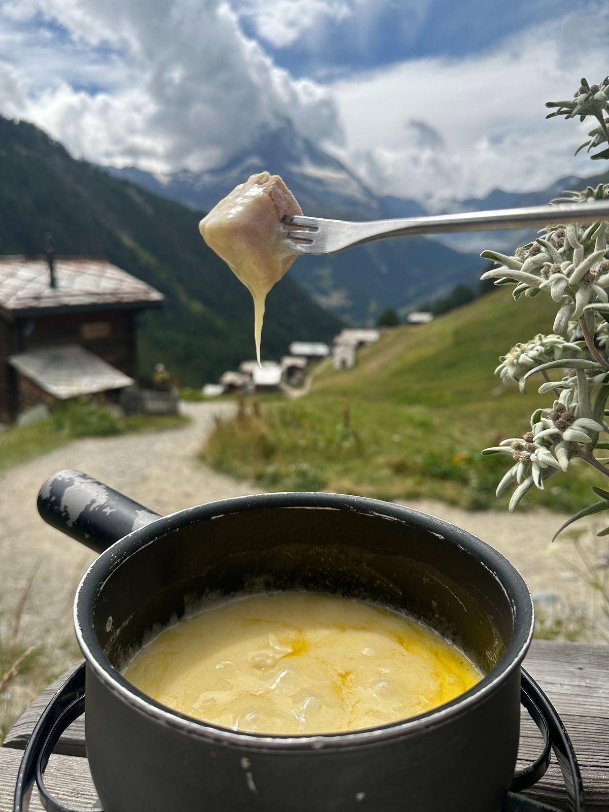 St. Moritz Horse Riding Adventure & Alpine Fondue Picnic