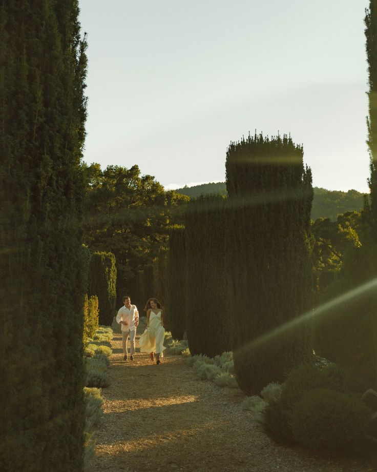 Tuscany - Vineyard Heritage Experience with Private Wine Cellar Tours