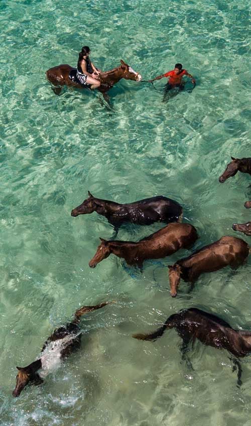 Sumba - Remote Island Luxury with Freedom & Wild Horses
