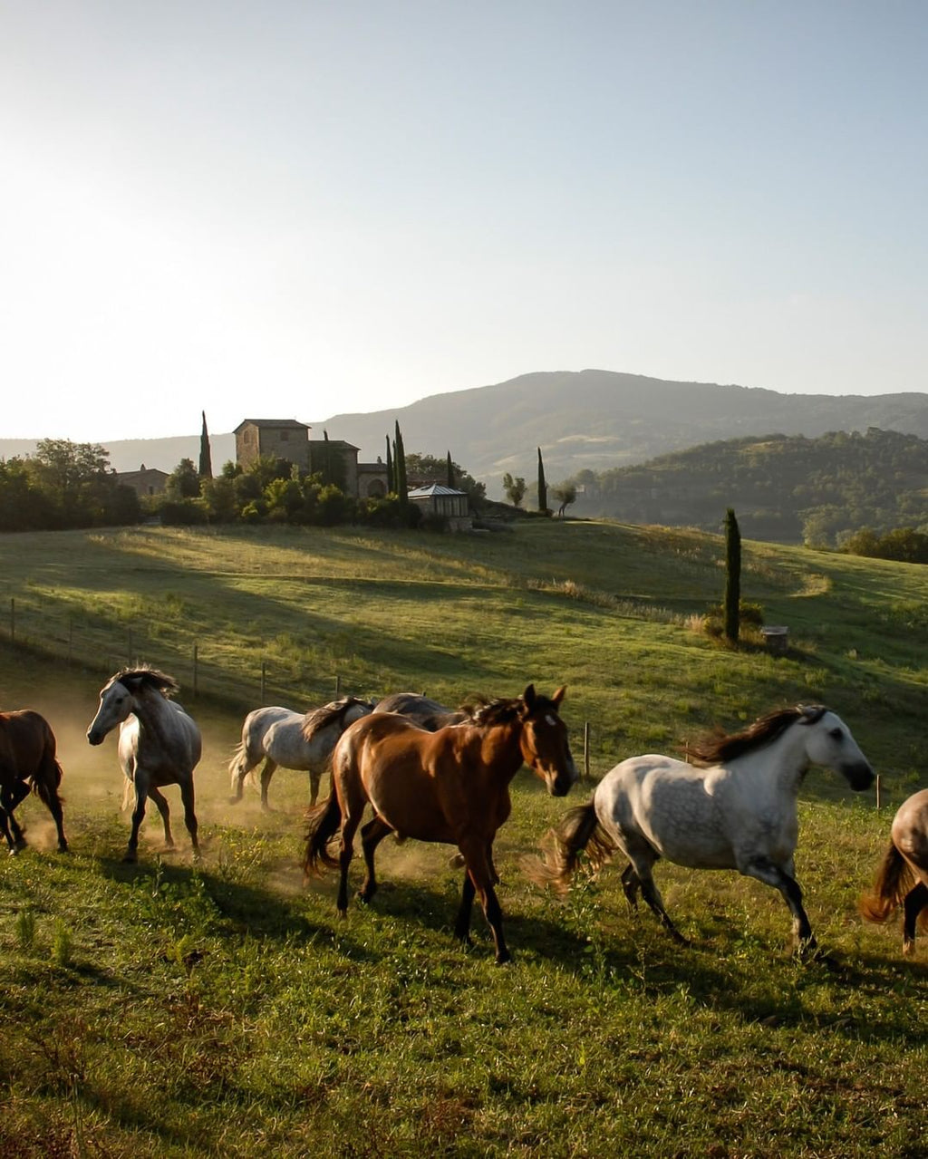 Perugia, Umbria - Restored Castle Retreat with Horses & Organic Wine