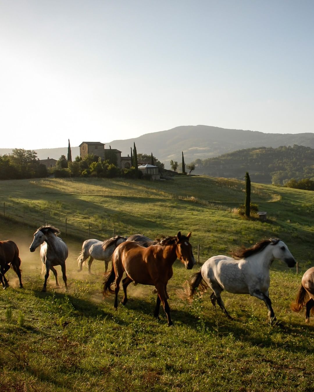 Perugia, Umbria - Restored Castle Retreat with Horses & Organic Wine