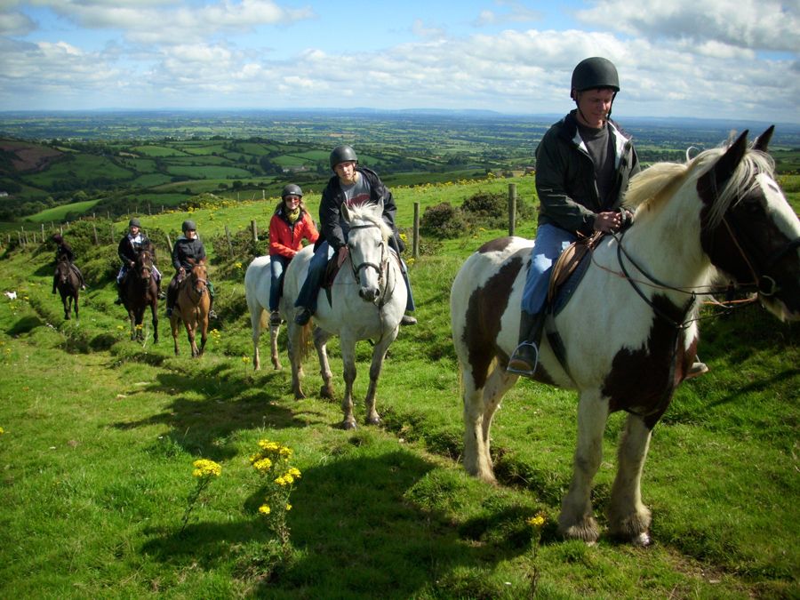 Ireland: Ancient Woodland Horseback Ride Along Historic Pilgrimage Trails