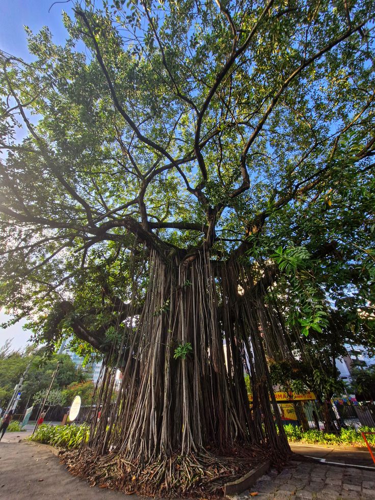 Bali – A Raw Rainforest Haven with an Open-Air "No Walls, No Doors" Design