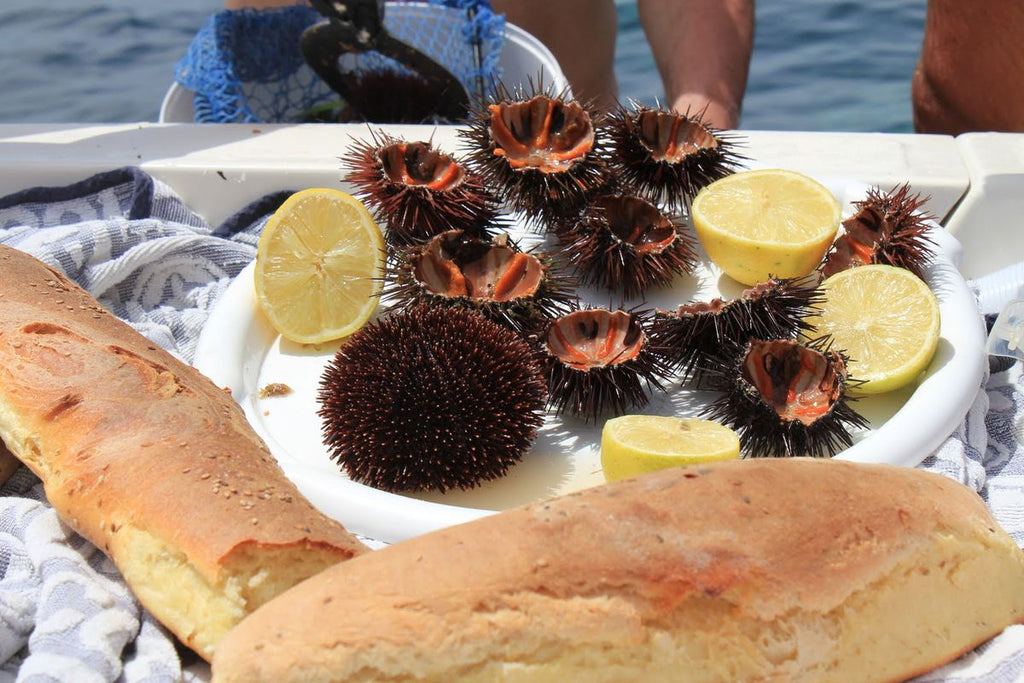 Costa Brava Gourmet Sailing Tour with Sea Urchin & Cava Tasting