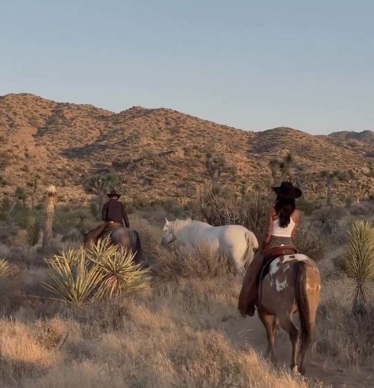 Tabernas Desert, Spain - Horseriding Experience in the Cinematic Trails of the Desert