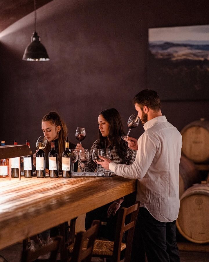 Penedès Rural Wine Getaway with Vineyard Tour & Wine Tasting