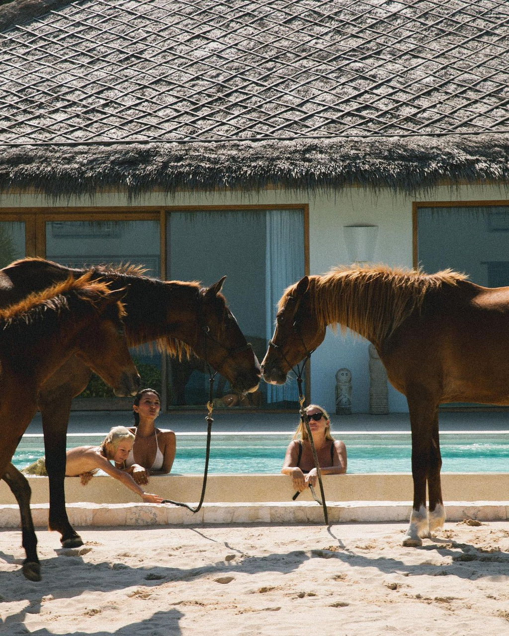 Sumba - Remote Island Luxury with Freedom & Wild Horses