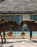 Sumba - Remote Island Luxury with Freedom & Wild Horses