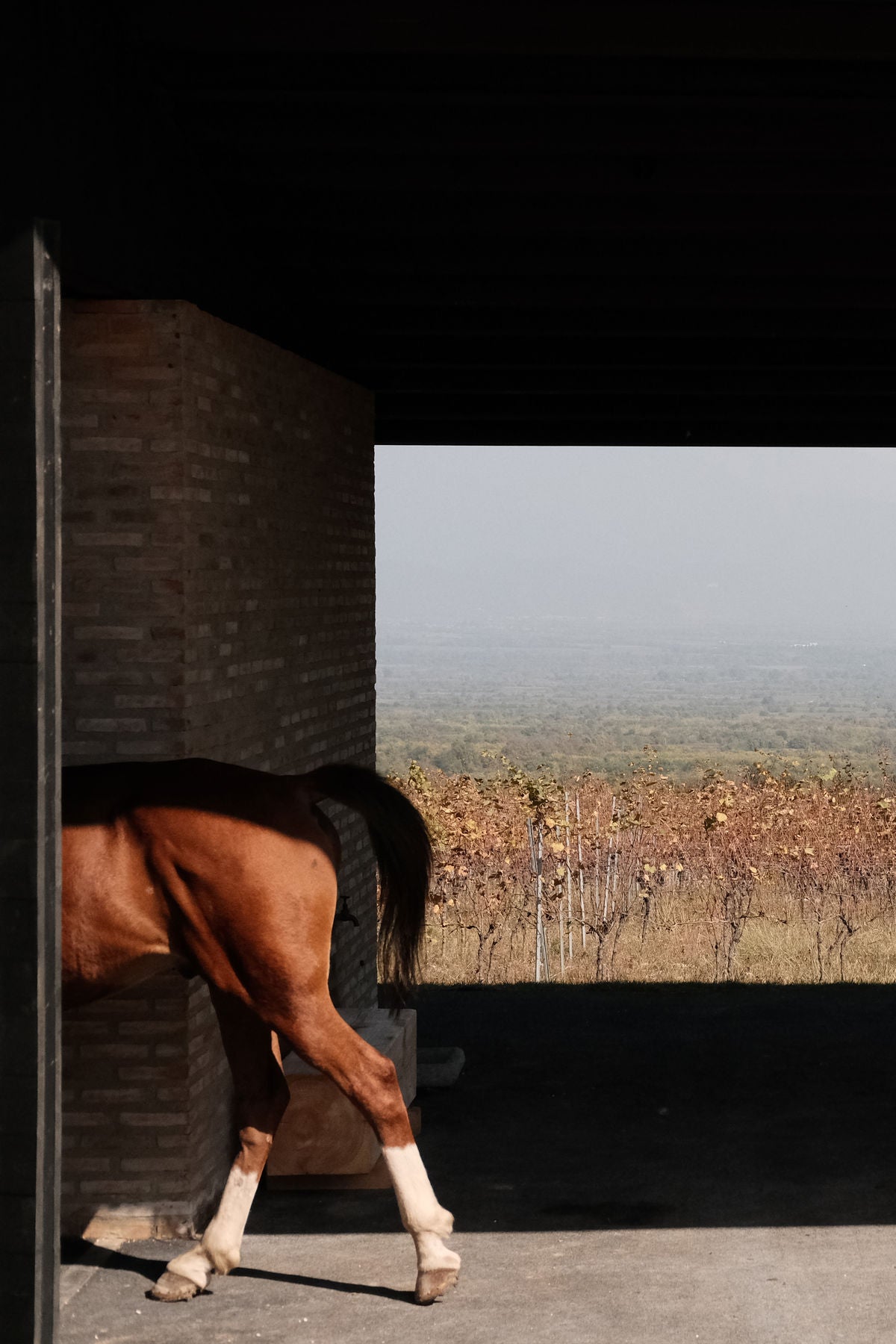 Kakheti - Boutique Palace Retreat with Heritage & Vineyard Views