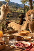 Barcelona: A Countryside Farm Picnic with Alpacas