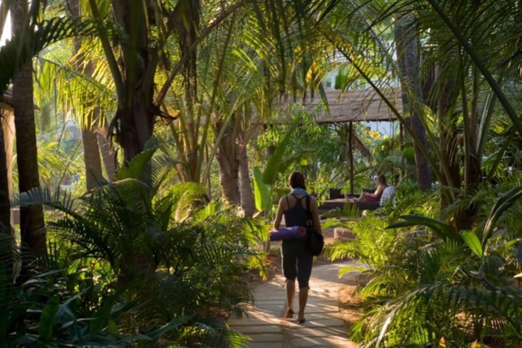 Ashiyana Brazil: Yoga and Wellness Retreat