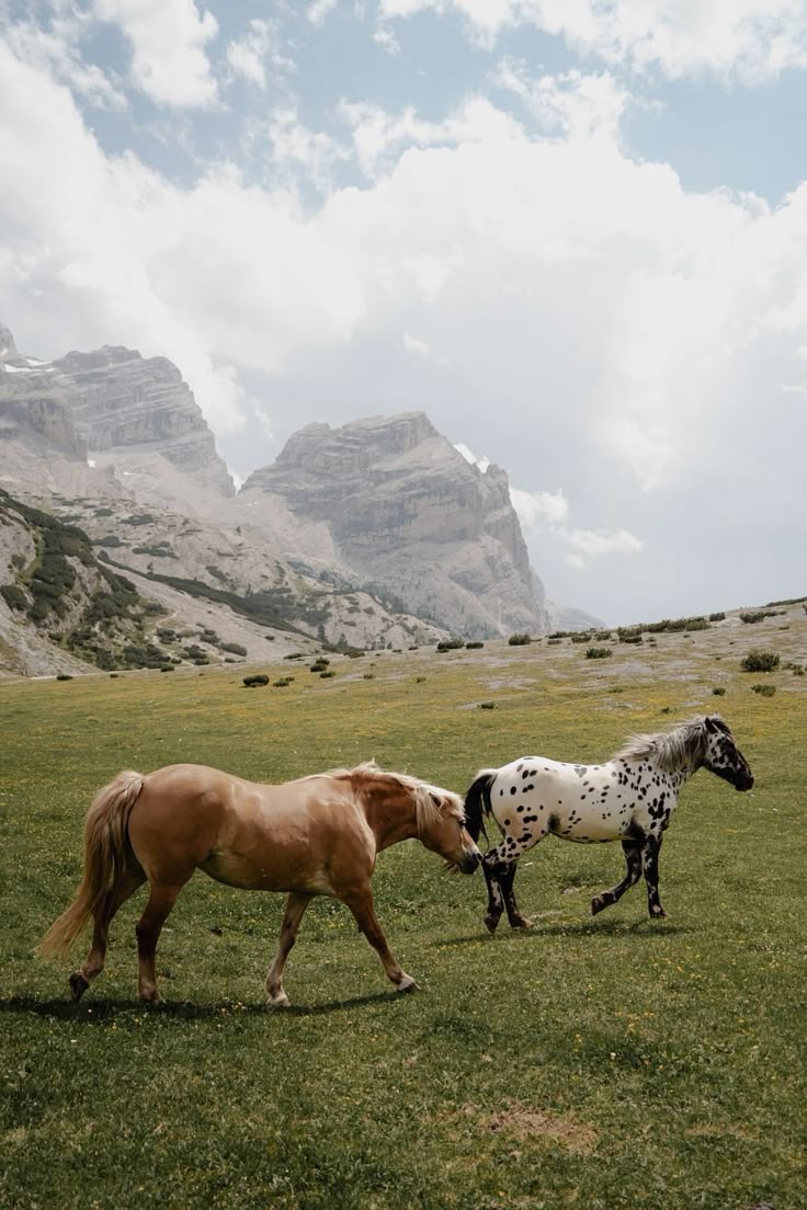 Hautes-Alpes - A Wild Mountain Horseback Journey Through Provence