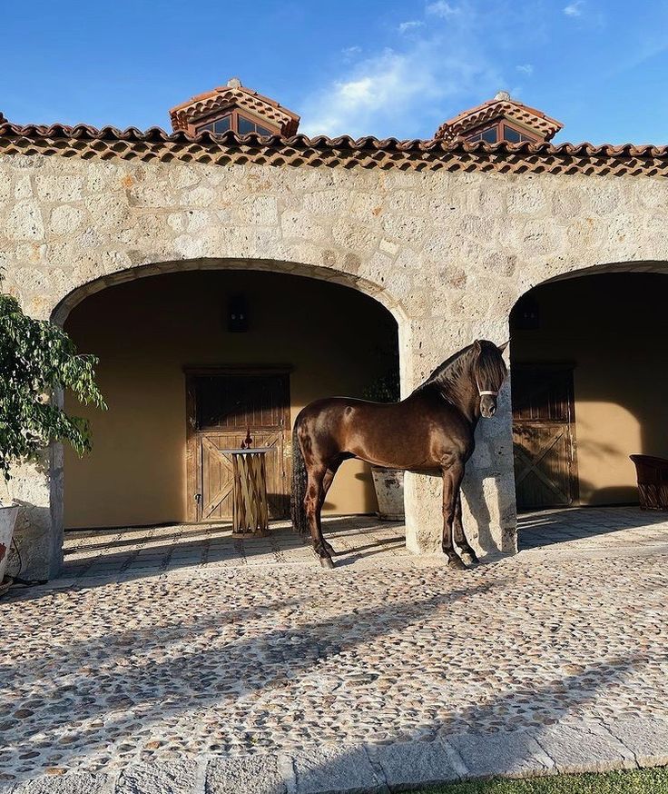 Ronda - A Biodynamic Mountain Retreat in the Heart of Andalusia
