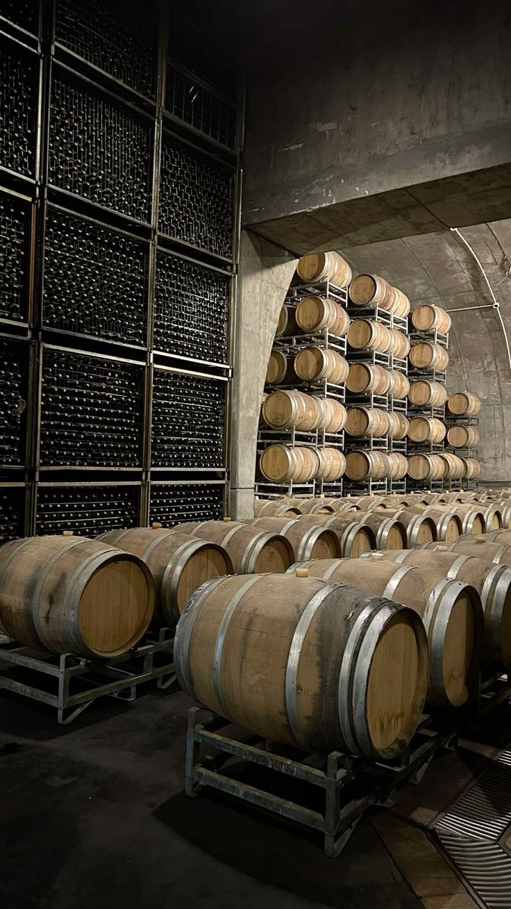 Sauternes – A Private Dinner Among 350,000 Bottles of Liquid Gold