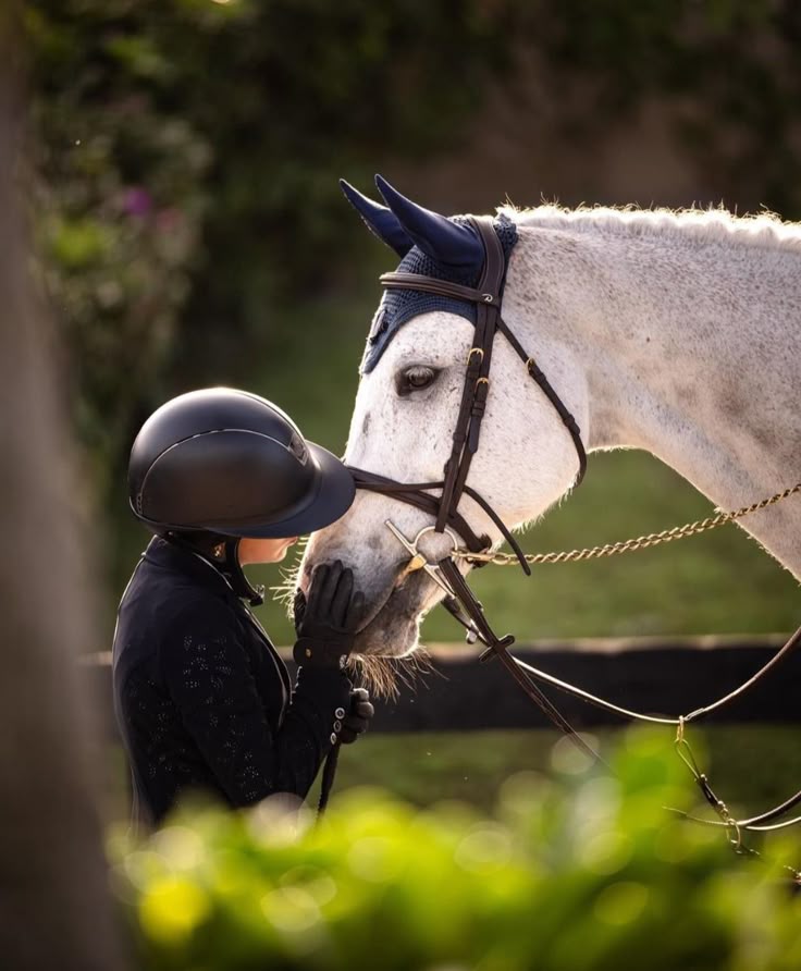 Jerez – An Encounter with Spain's Most Noble Horse
