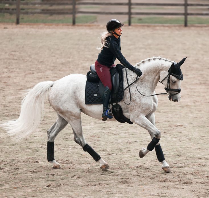 Jerez – An Encounter with Spain's Most Noble Horse