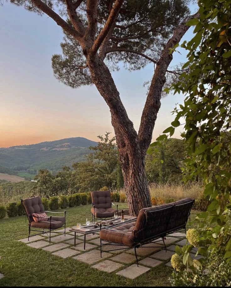 Volterra - Truffle Hunting, Sunflower Fields & Sunset Rides in Tuscany