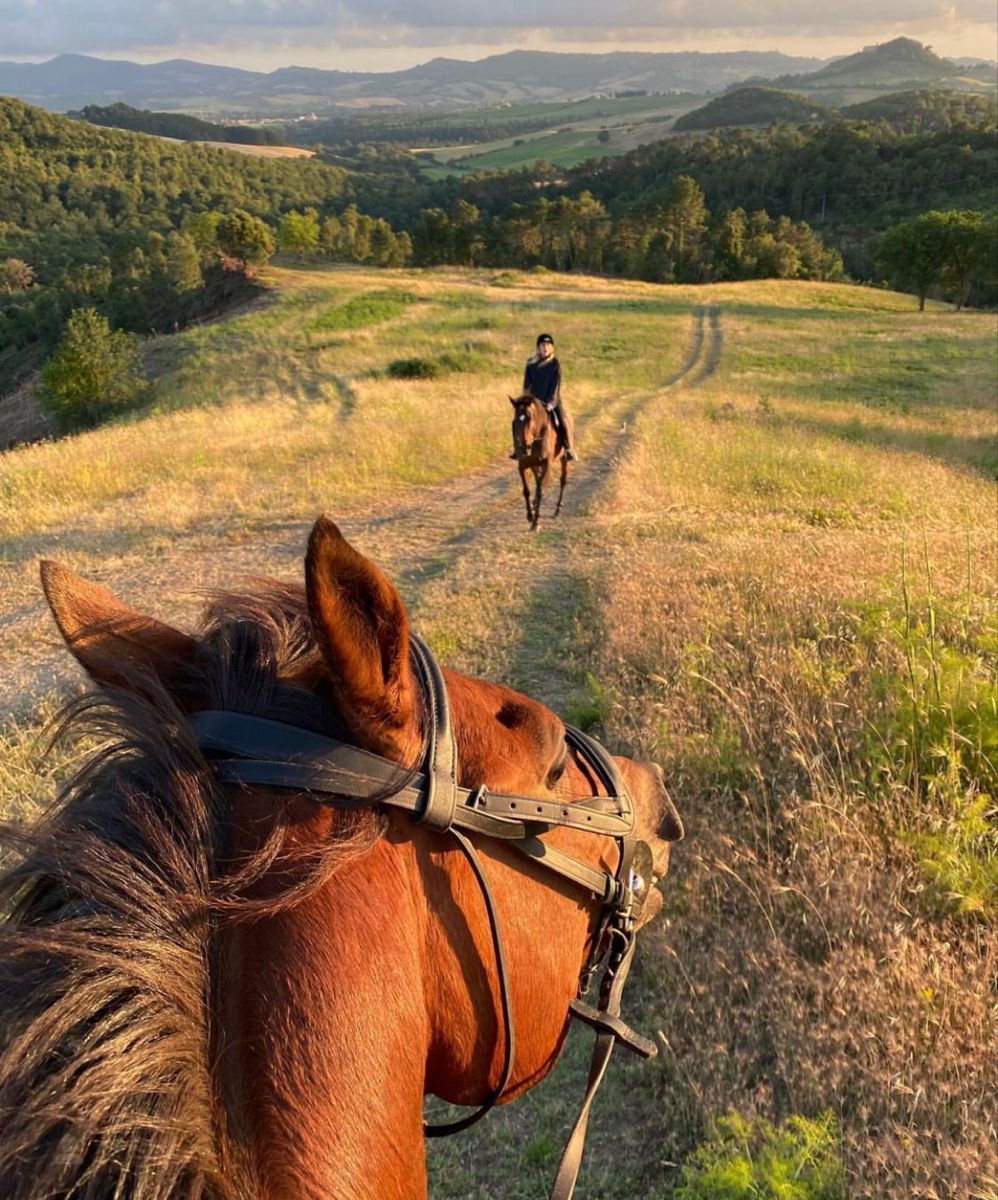 Tuscany - Vineyard Heritage Experience with Private Wine Cellar Tours