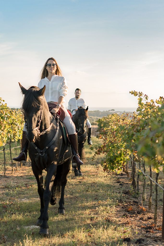 Private Horseback Ride Through Santorini with Romantic Picnic & Scenic Photo Experience