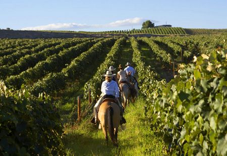 Barcelona Horse Riding & Vineyard Wine Tour with Gourmet Lunch