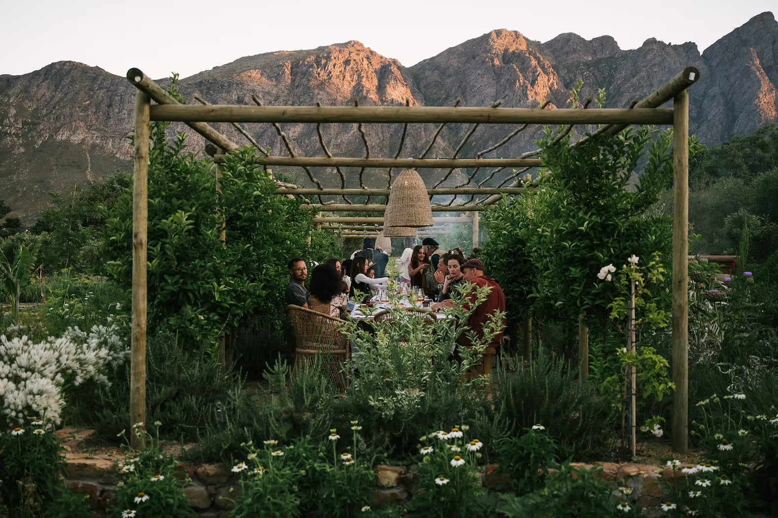 Franschhoek - A Deep Healing Journey on a Mystical Wellness Farm