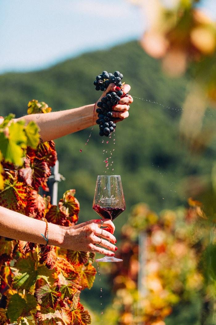 Kakheti - Boutique Palace Retreat with Heritage & Vineyard Views