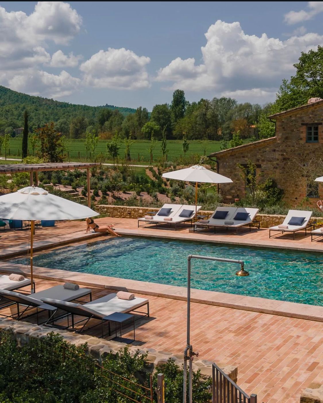 Tuscany - Vineyard Heritage Experience with Private Wine Cellar Tours