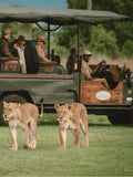 Hoedspruit - Luxury Safari Lodge with Classic Romance & Wildlife Views
