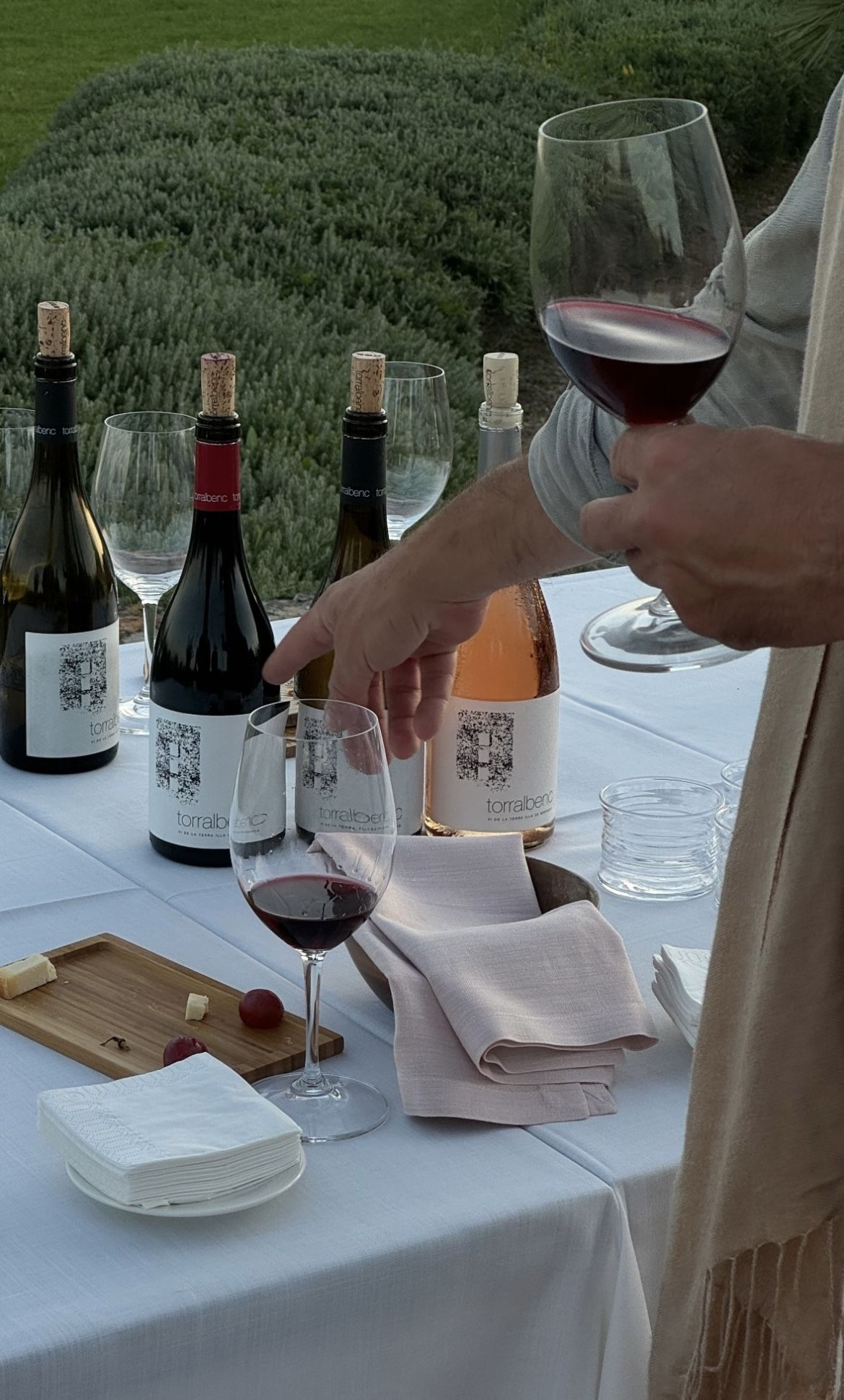 Bordeaux Vineyard Escape: Horseback Riding, Wine Tasting & Picnic