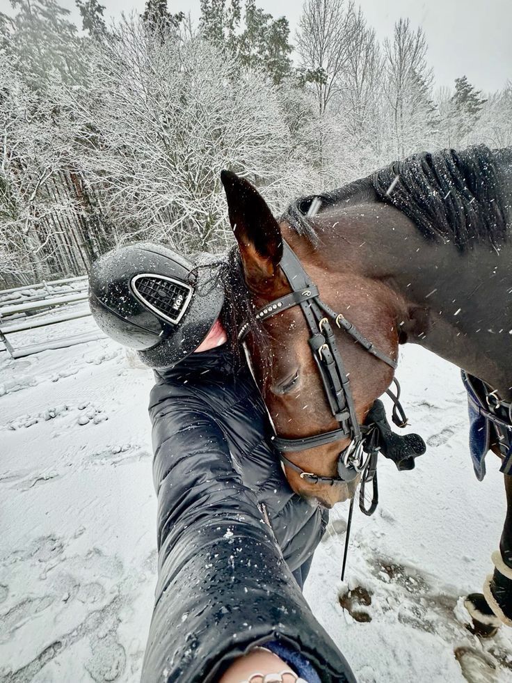 Finland: Signature Finnhorse Experience Through Lapland's Enchanting Forests
