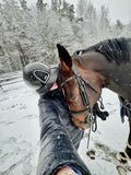 Finland: Signature Finnhorse Experience Through Lapland's Enchanting Forests