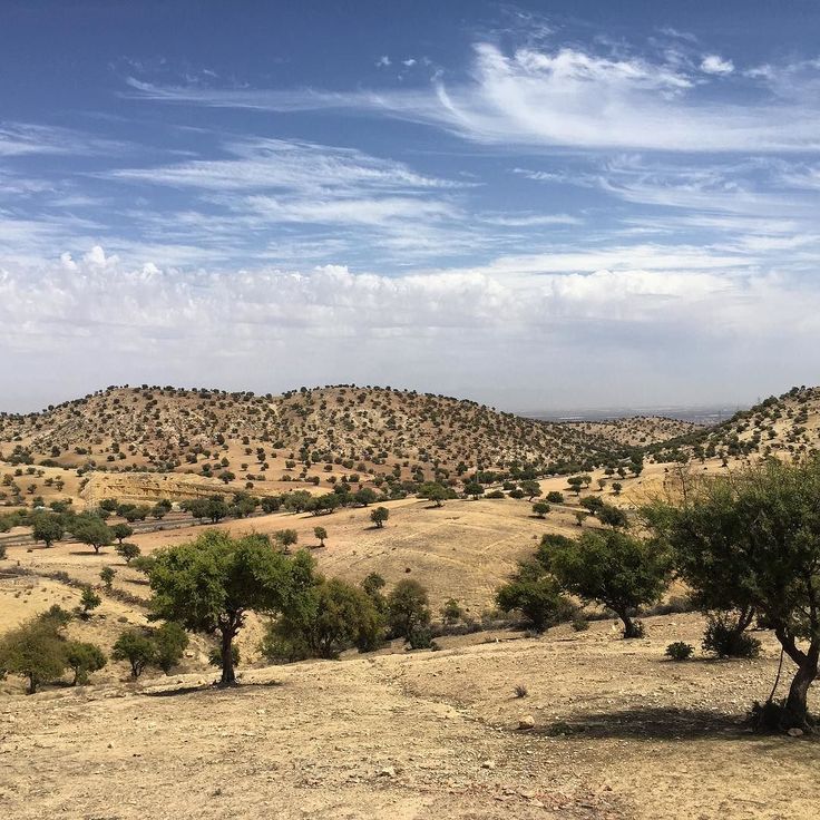 Essaouira – Riding the Argan Forests & Atlantic Coast of Morocco