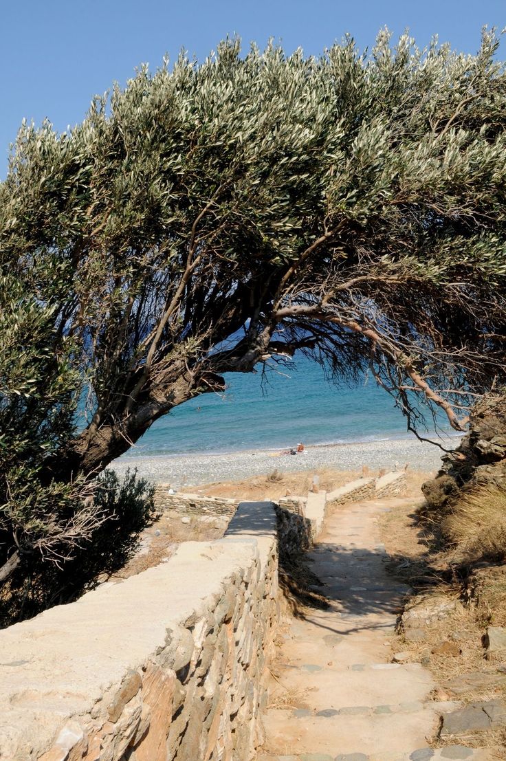 Lesvos – Riding Through Olive Groves, Mountain Trails & Ancient Greek Coastlines
